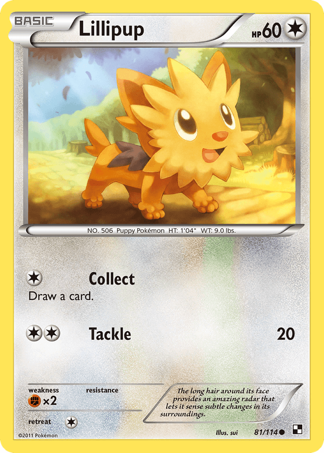 Lillipup — Black & White #81