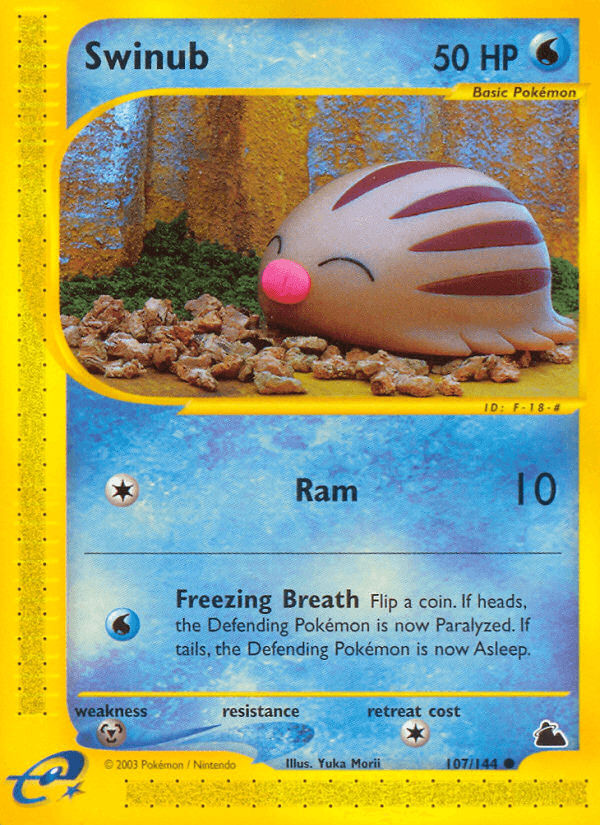 Swinub — Skyridge #107