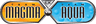 Team Magma vs Team Aqua