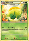 Skiploom