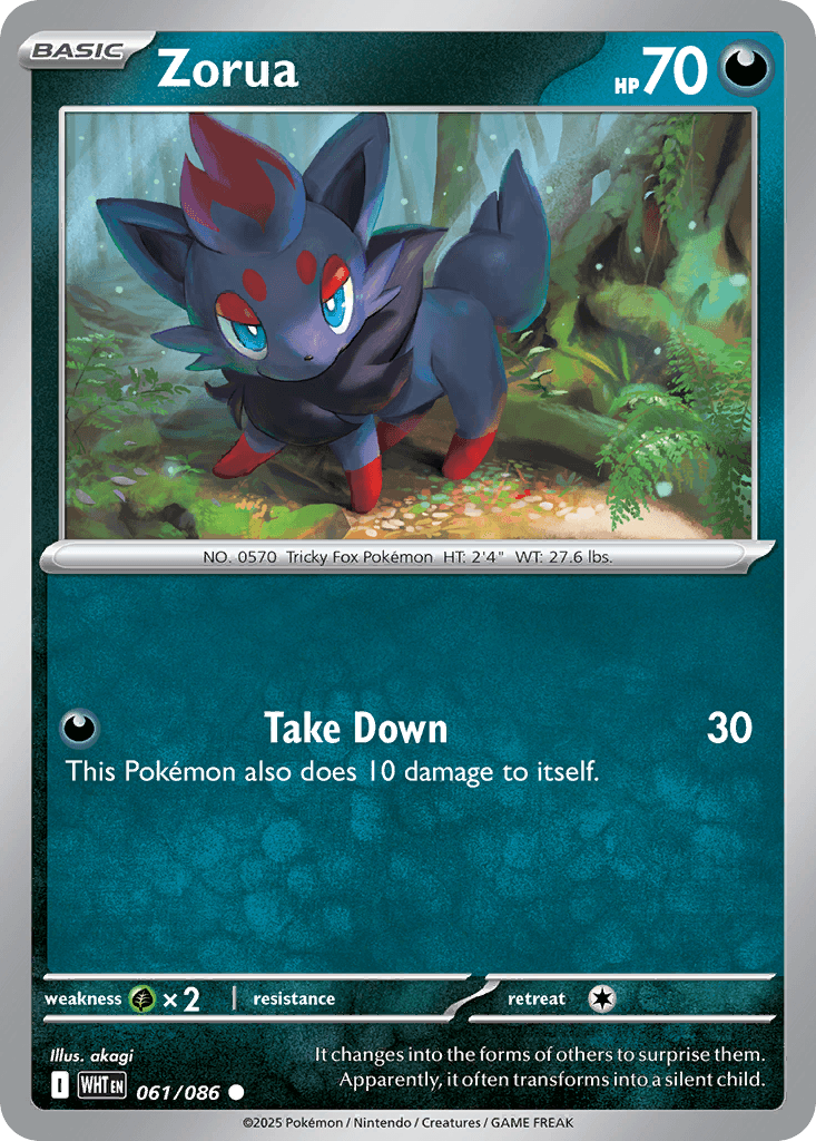 Zorua — White Flare #61