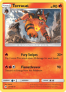 Torracat