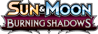 Burning Shadows