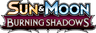 Burning Shadows