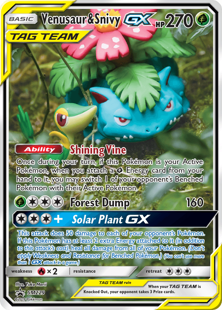 Venusaur & Snivy-GX — SM Black Star Promos #SM229