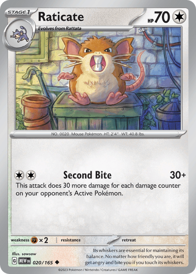 Raticate — 151 #20