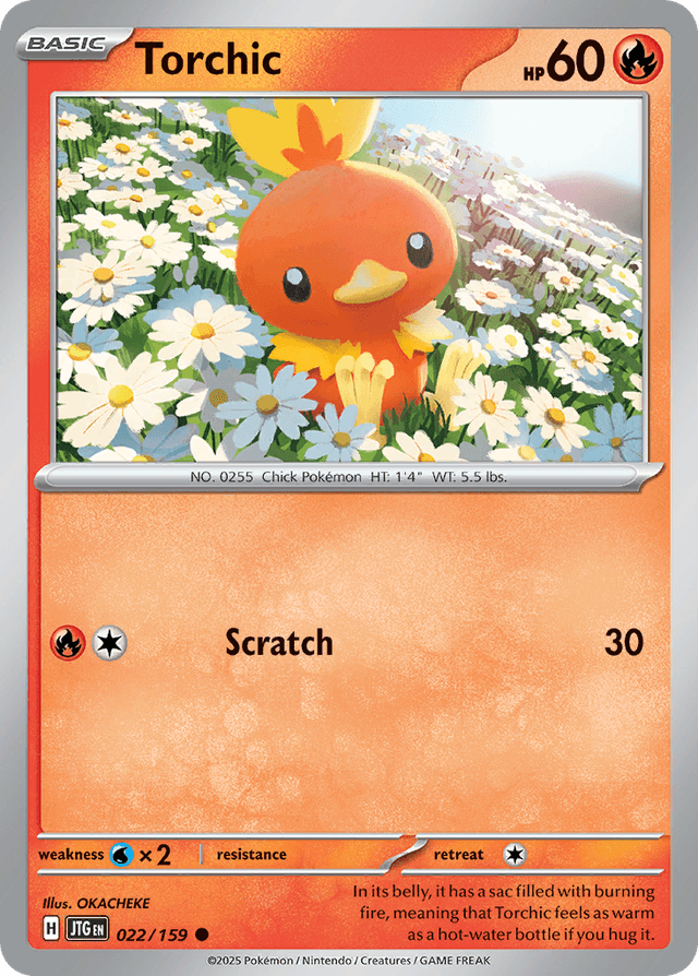 Torchic — Journey Together #22