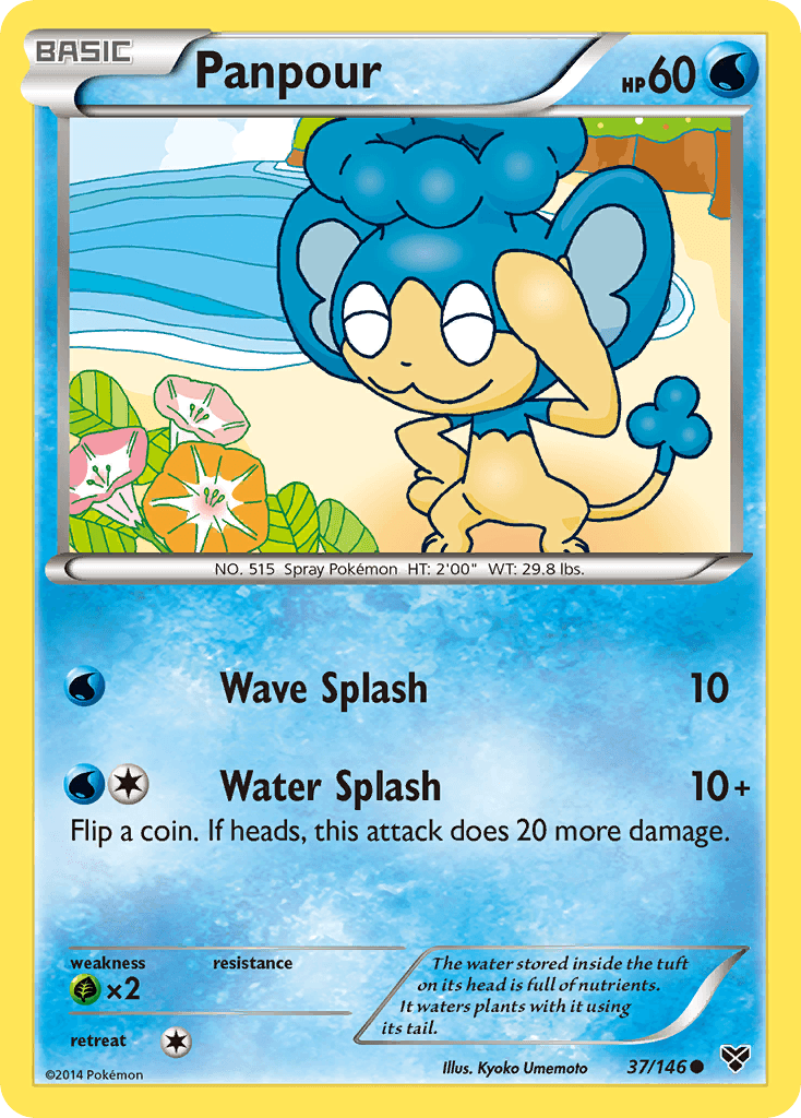Panpour — XY #37