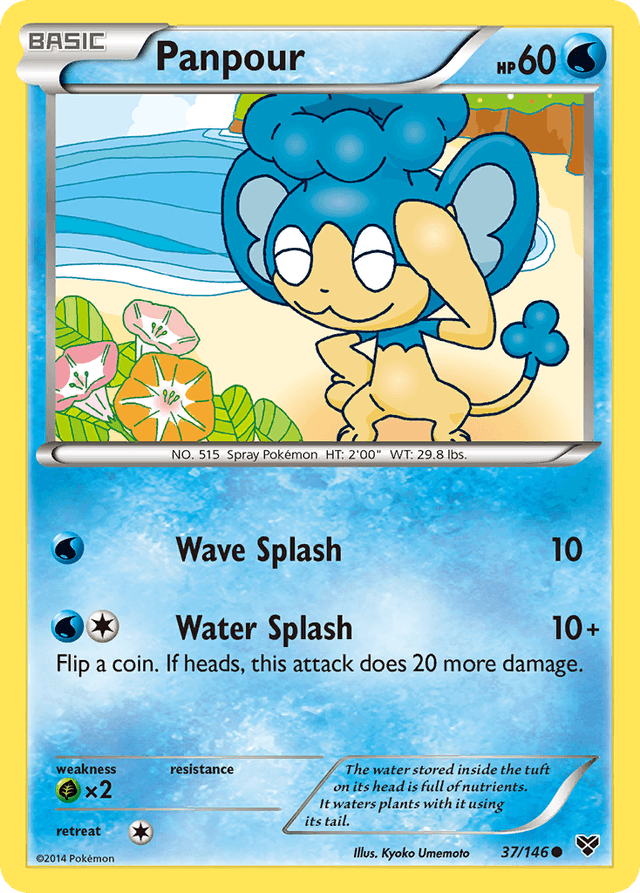Panpour — XY #37