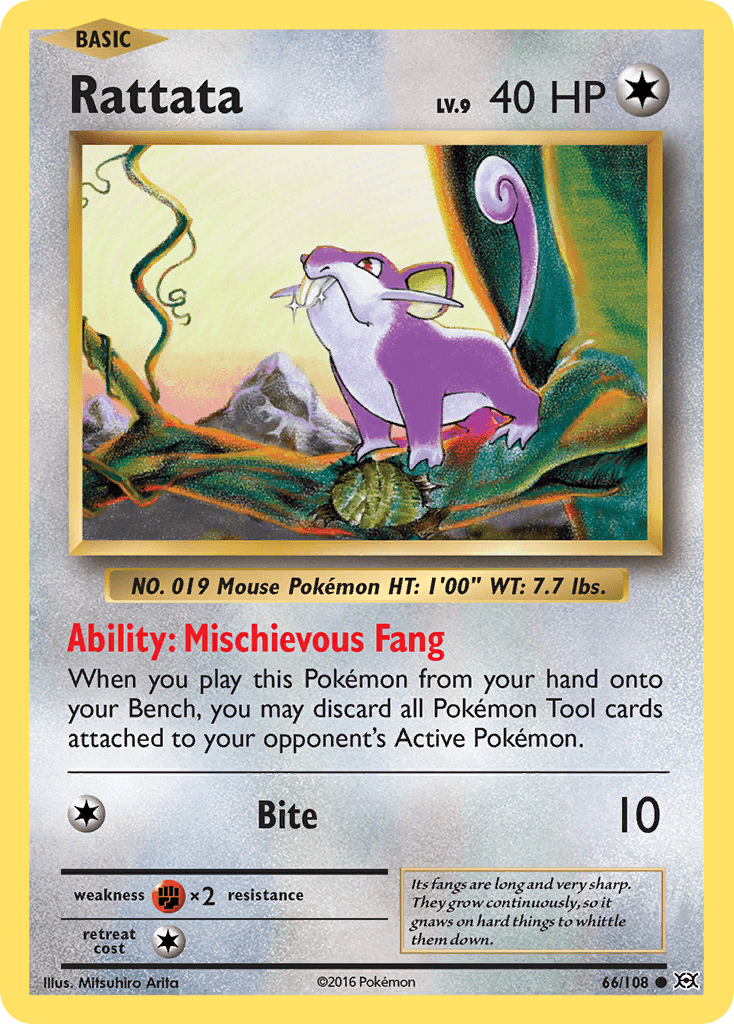 Rattata — Evolutions #66
