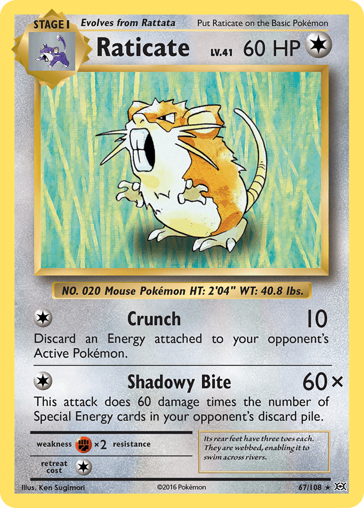 Raticate — Evolutions #67