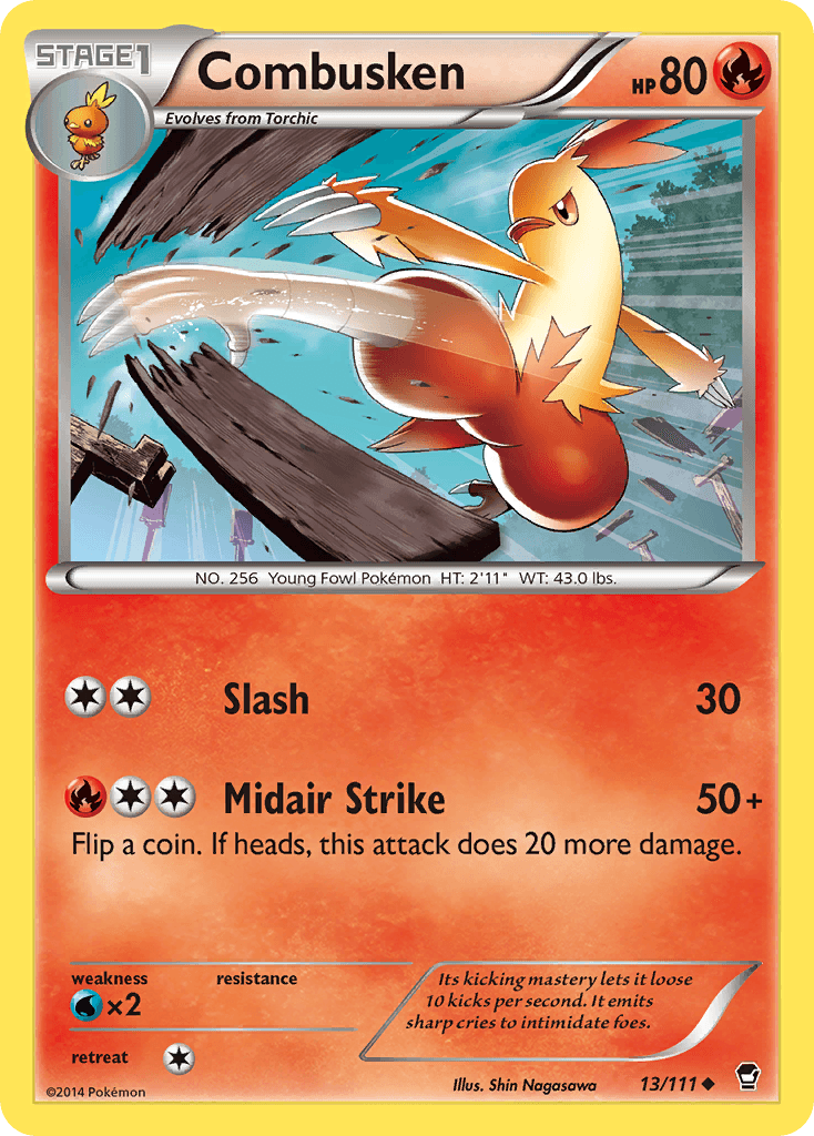 Combusken — Furious Fists #13