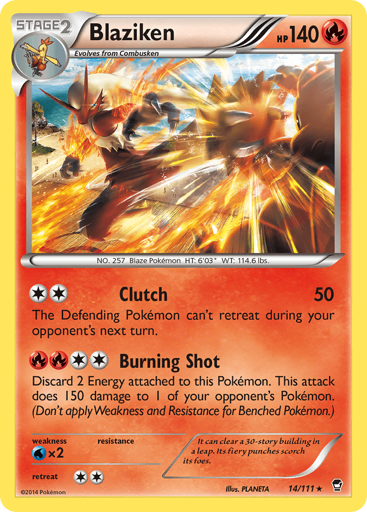 Blaziken — Furious Fists #14