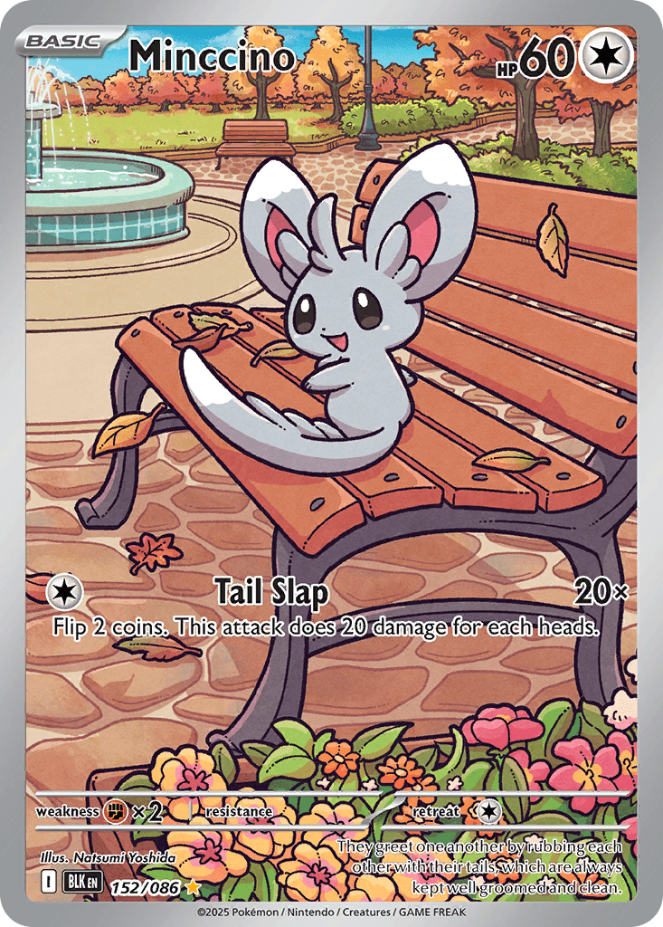 Minccino — Black Bolt #152