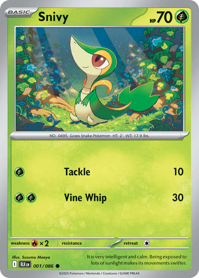 Snivy — Black Bolt #1