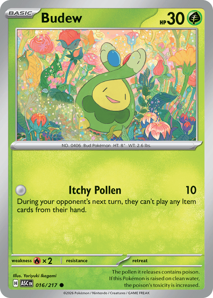 Budew — Ascended Heroes #16