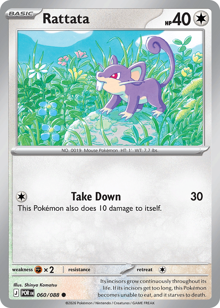 Rattata — Perfect Order #60
