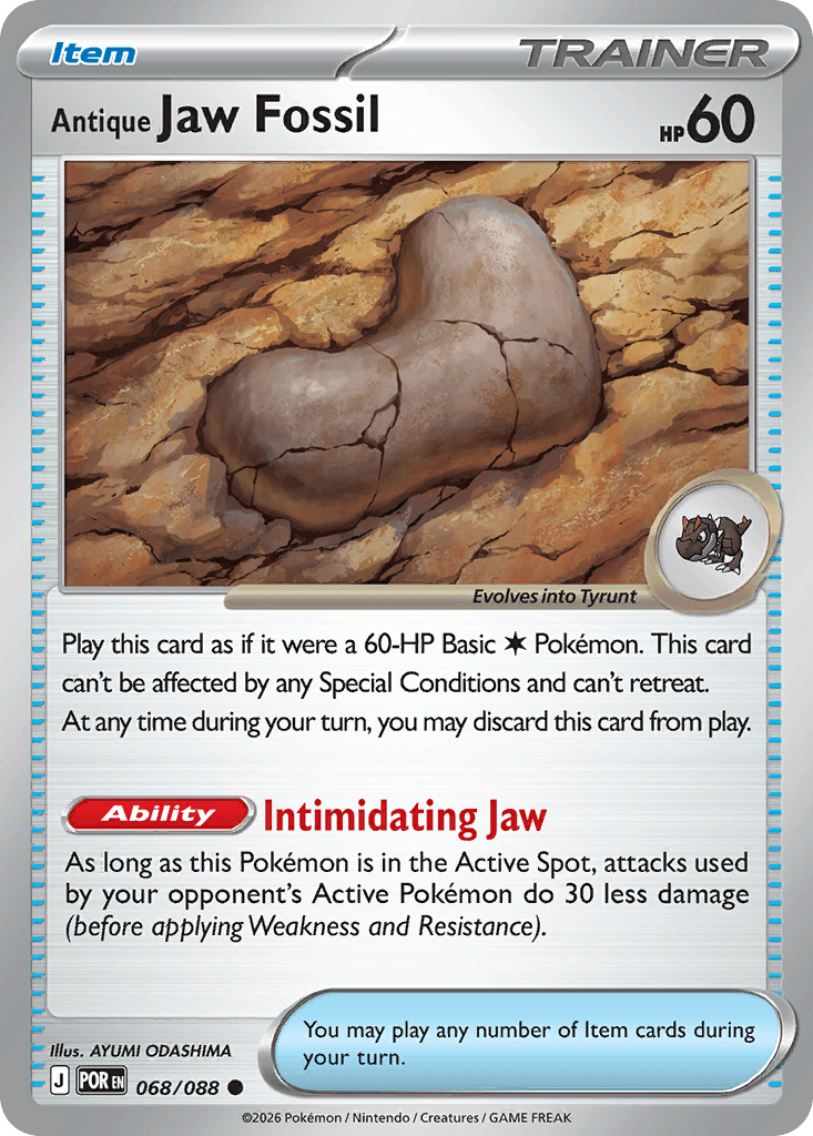 Antique Jaw Fossil — Perfect Order #68