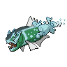 Basculegion Female