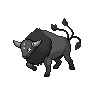 Tauros Paldea Combat Breed