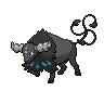Tauros Paldea Aqua Breed
