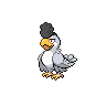 Squawkabilly White Plumage