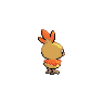 Back Shiny