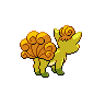 Back Shiny