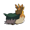 Back Shiny