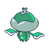 Back Shiny