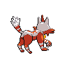 Back Shiny