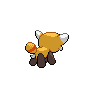 Back Shiny