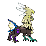 Back Shiny