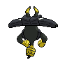 Back Shiny