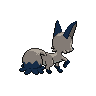 Back Shiny