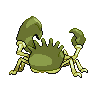 Back Shiny
