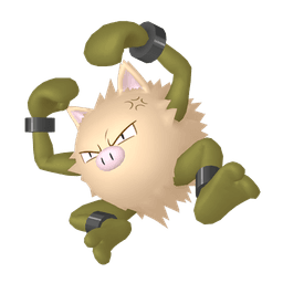 Home 3D Shiny