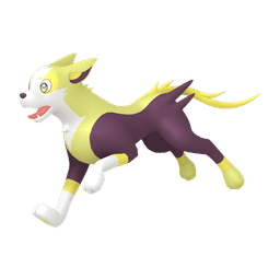 Home 3D Shiny