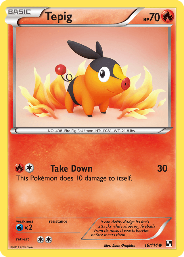 Tepig — Black & White #16