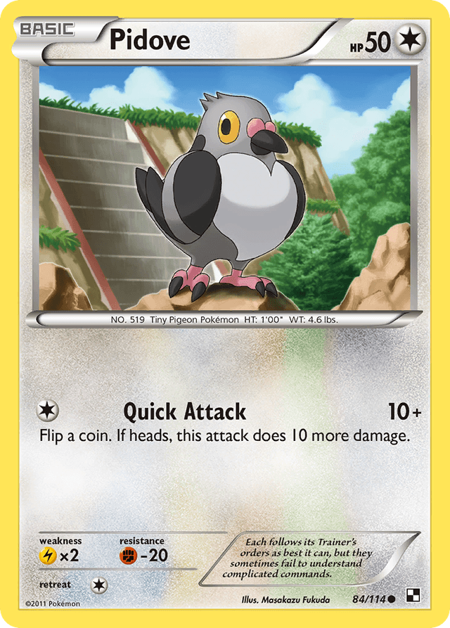 Pidove — Black & White #84