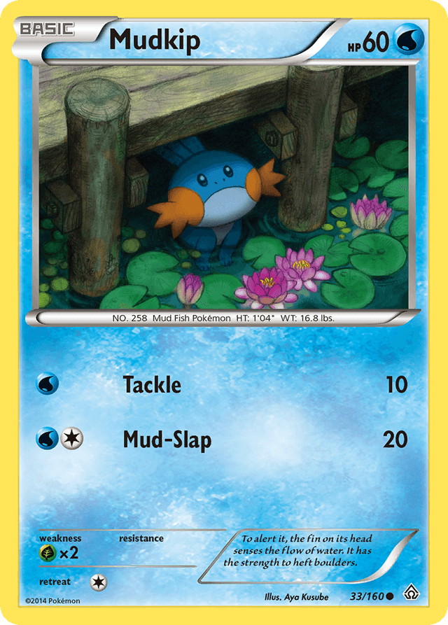 Mudkip — Primal Clash #33