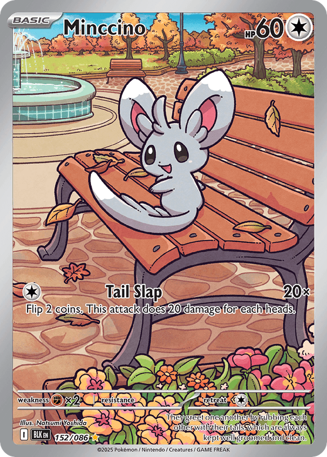 Minccino — Black Bolt #152
