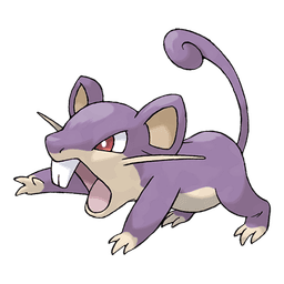 Rattata